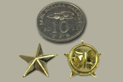 Gold color 3D star pin