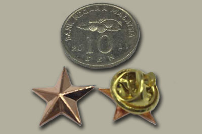 rose Gold color 3D star pin